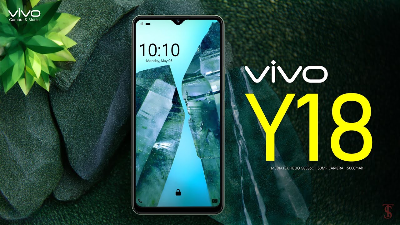 Vivo Y Price Official Look Design Specifications Camera Features